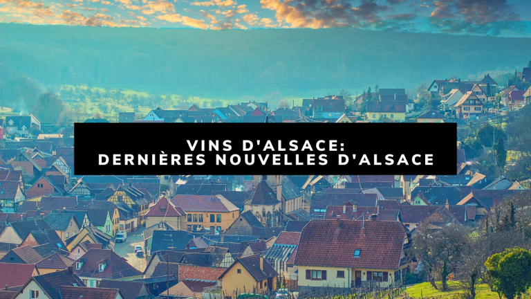 Lire la suite à propos de l’article Vins d’Alsace: Les vins naturels, une révolution de palais