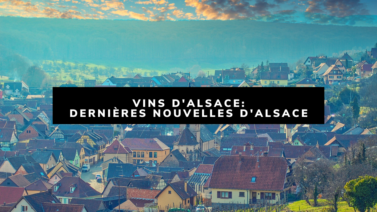 You are currently viewing Vins d’Alsace: Les vins naturels, une révolution de palais