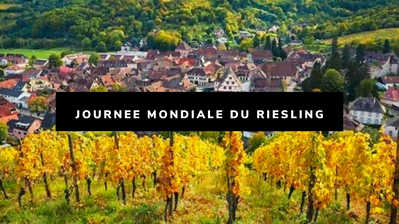 You are currently viewing Journée mondiale du Riesling