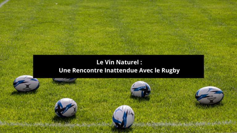 Lire la suite à propos de l’article Le Vin Naturel : Une Rencontre Inattendue Avec le Rugby