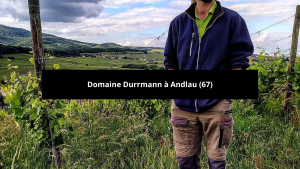 Lire la suite à propos de l’article Le domaine Durrmann à Andlau (67)