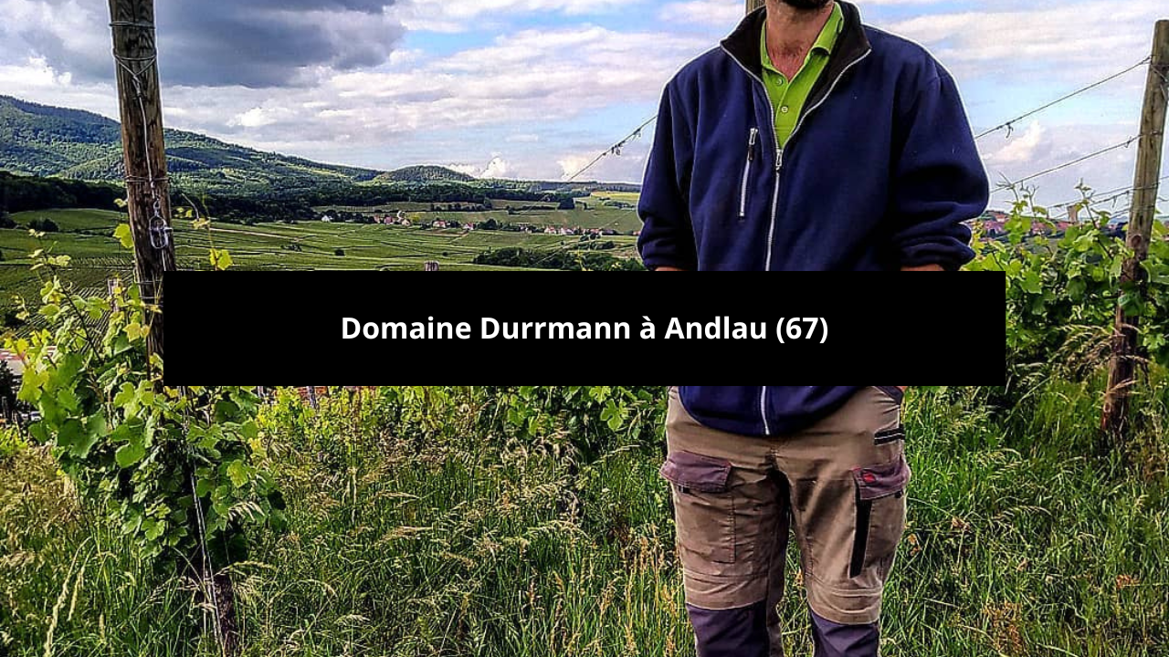 You are currently viewing Le domaine Durrmann à Andlau (67)