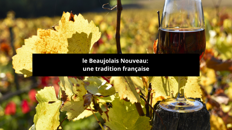 Lire la suite à propos de l’article le Beaujolais Nouveau: une tradition française​