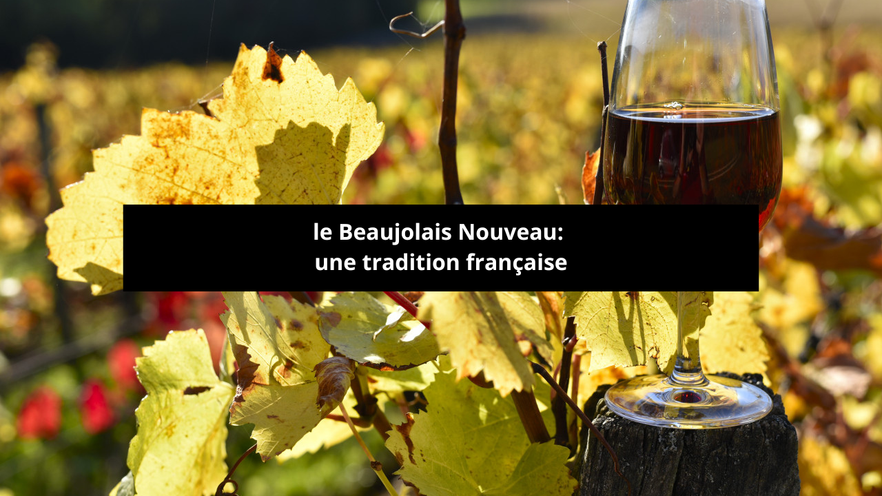 You are currently viewing le Beaujolais Nouveau: une tradition française​