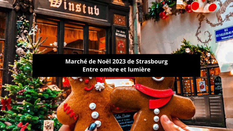 Lire la suite à propos de l’article Marché de Noël de Strasbourg : Entre ombre et lumière