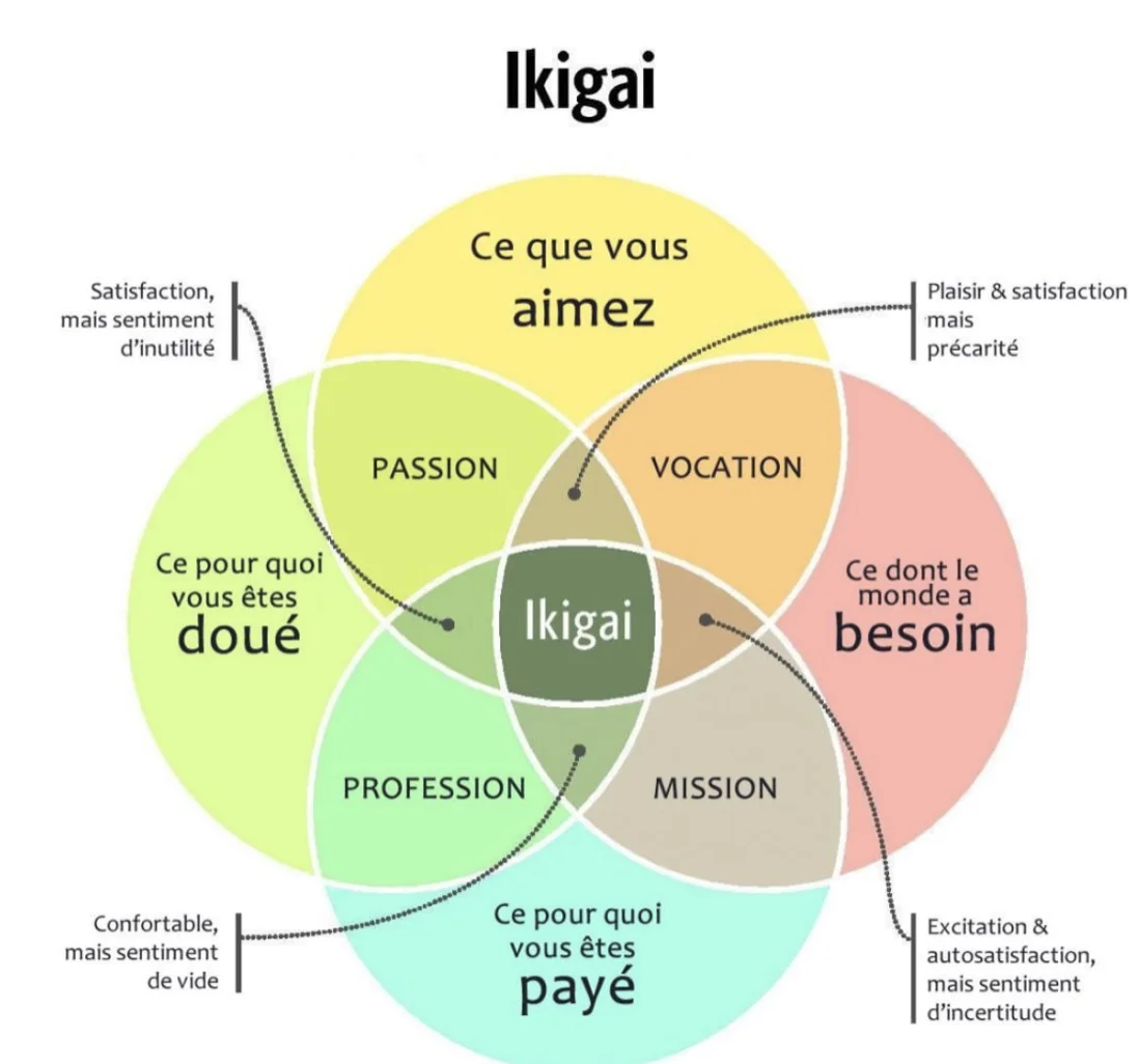 Schéma Ikigai