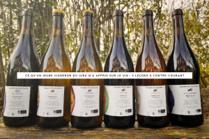 3 Leçons de Vin Surprenantes d’un Vigneron du Jura
